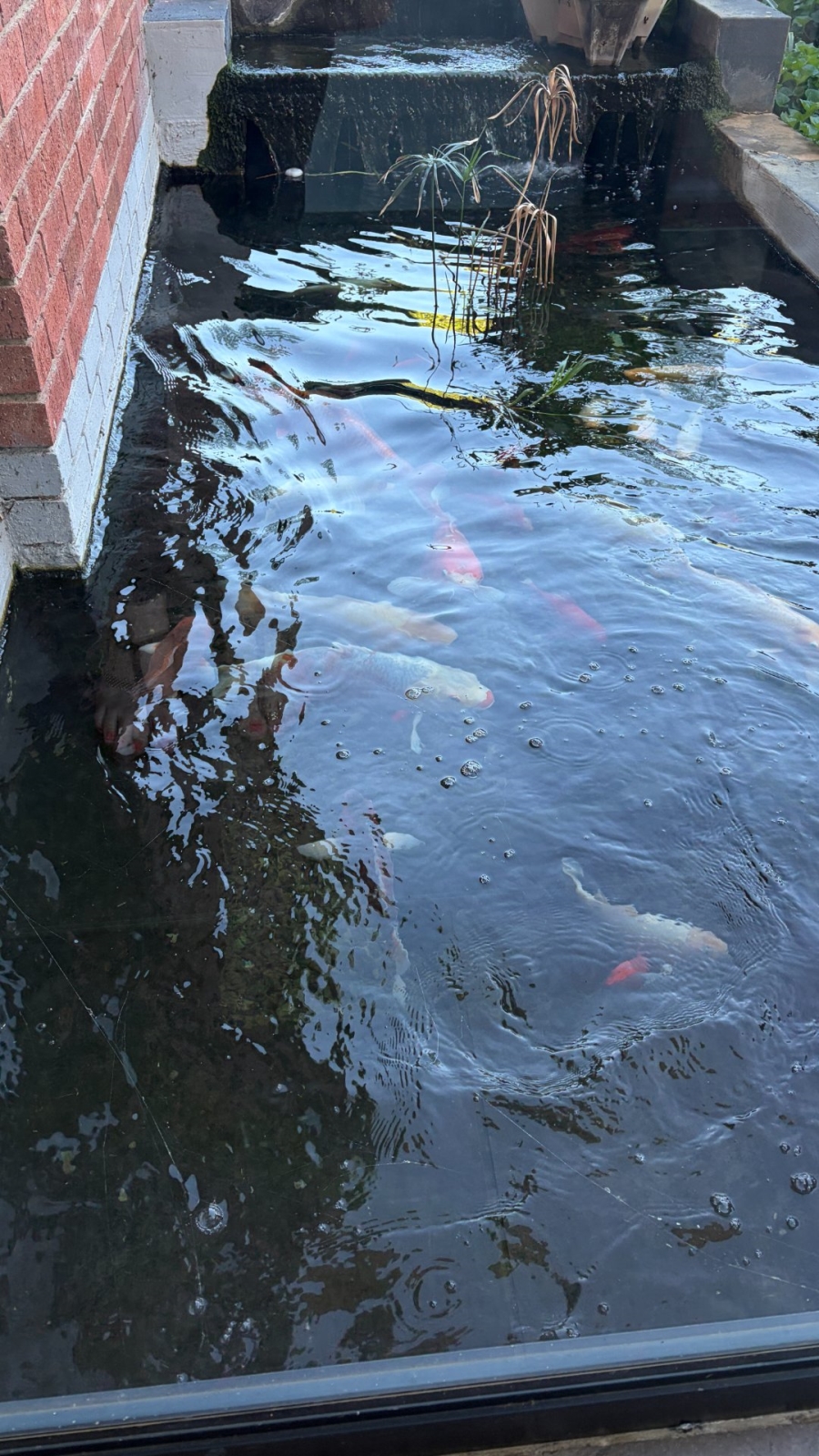 4 Bedroom Property for Sale in Grimbeeck Park North West